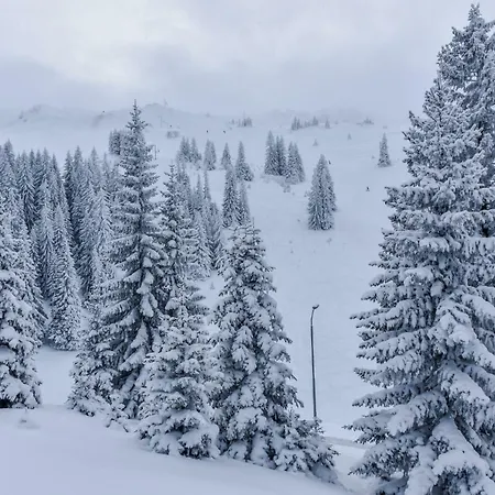 San Jahorina