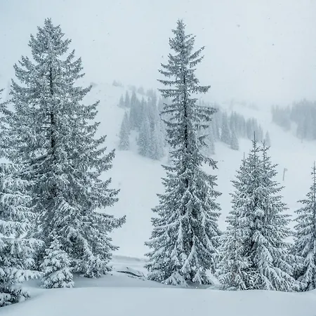 San Apart-hotel Jahorina