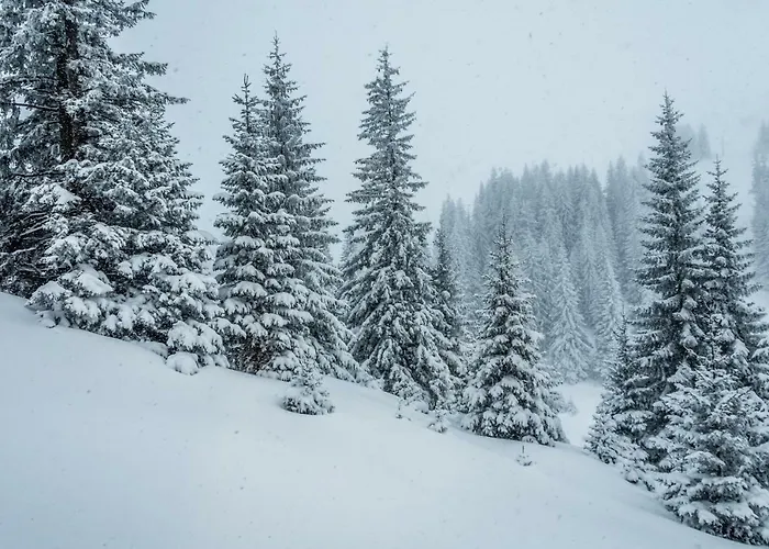 公寓式酒店 San 3*