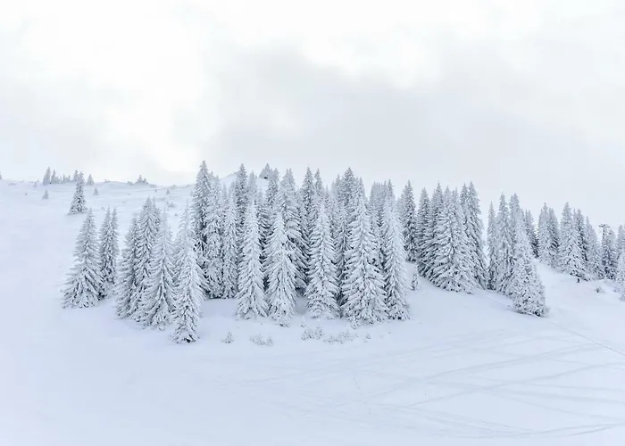 公寓式酒店 San 3*