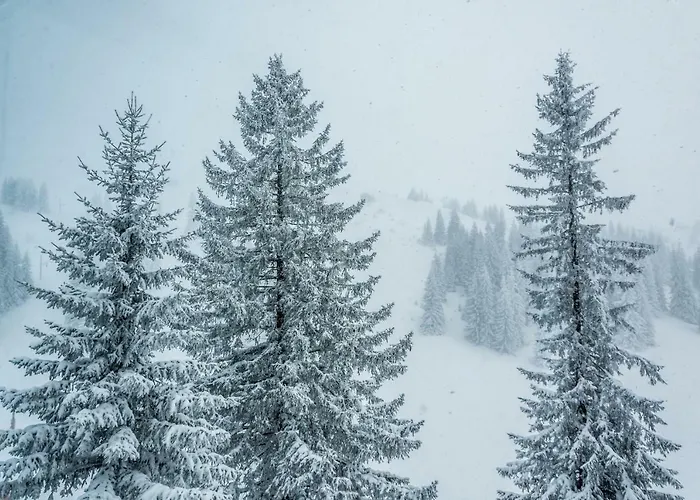 公寓式酒店 San 3*